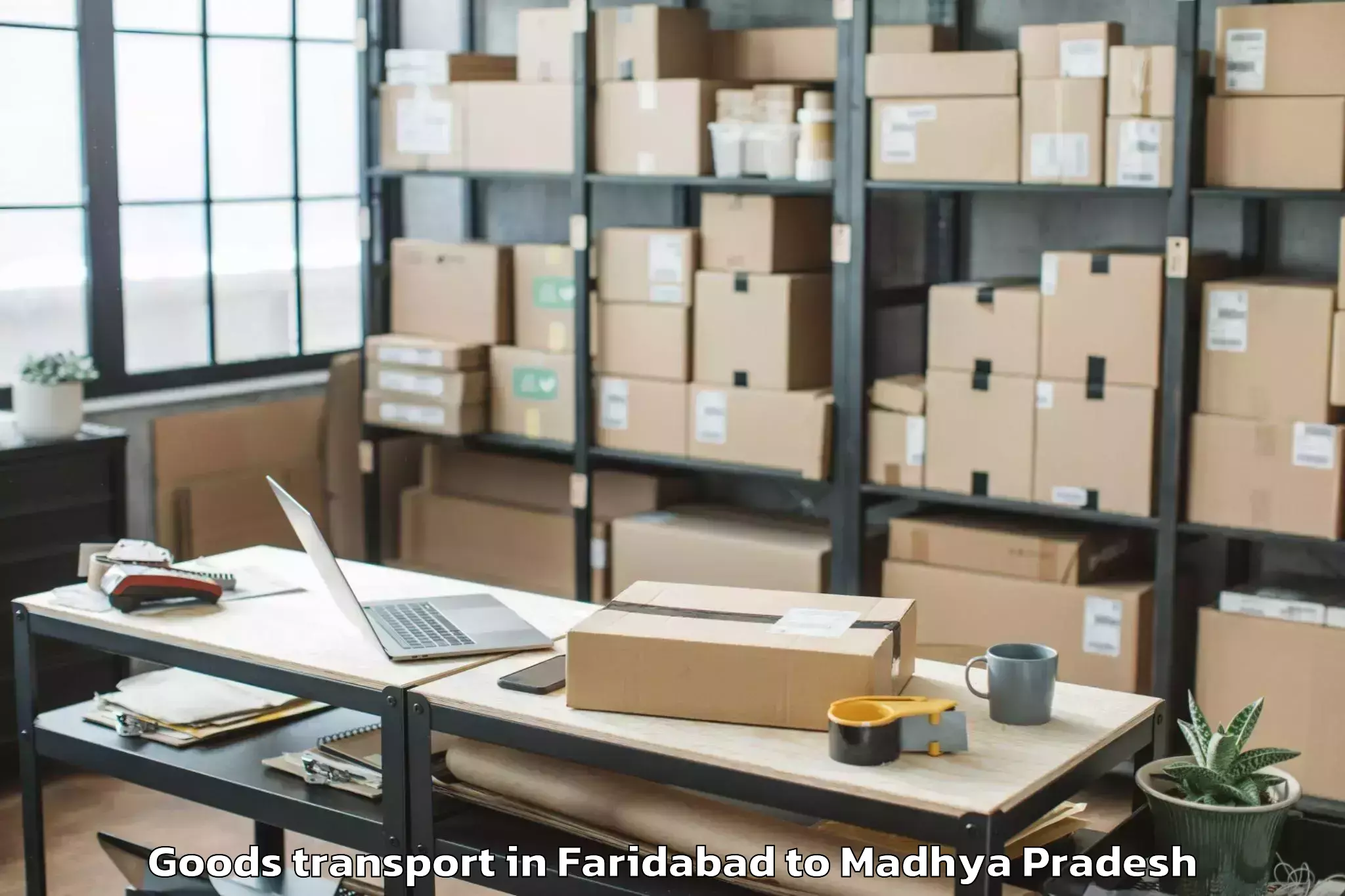 Book Faridabad to Aron Goods Transport Online